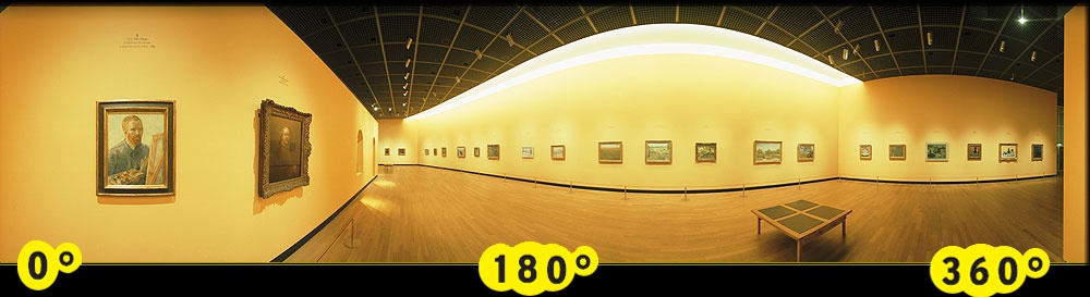                                   The choice of van Gogh: exhibit